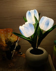 Tulip Night Lamp