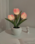 Mini Tulip Night Lamp