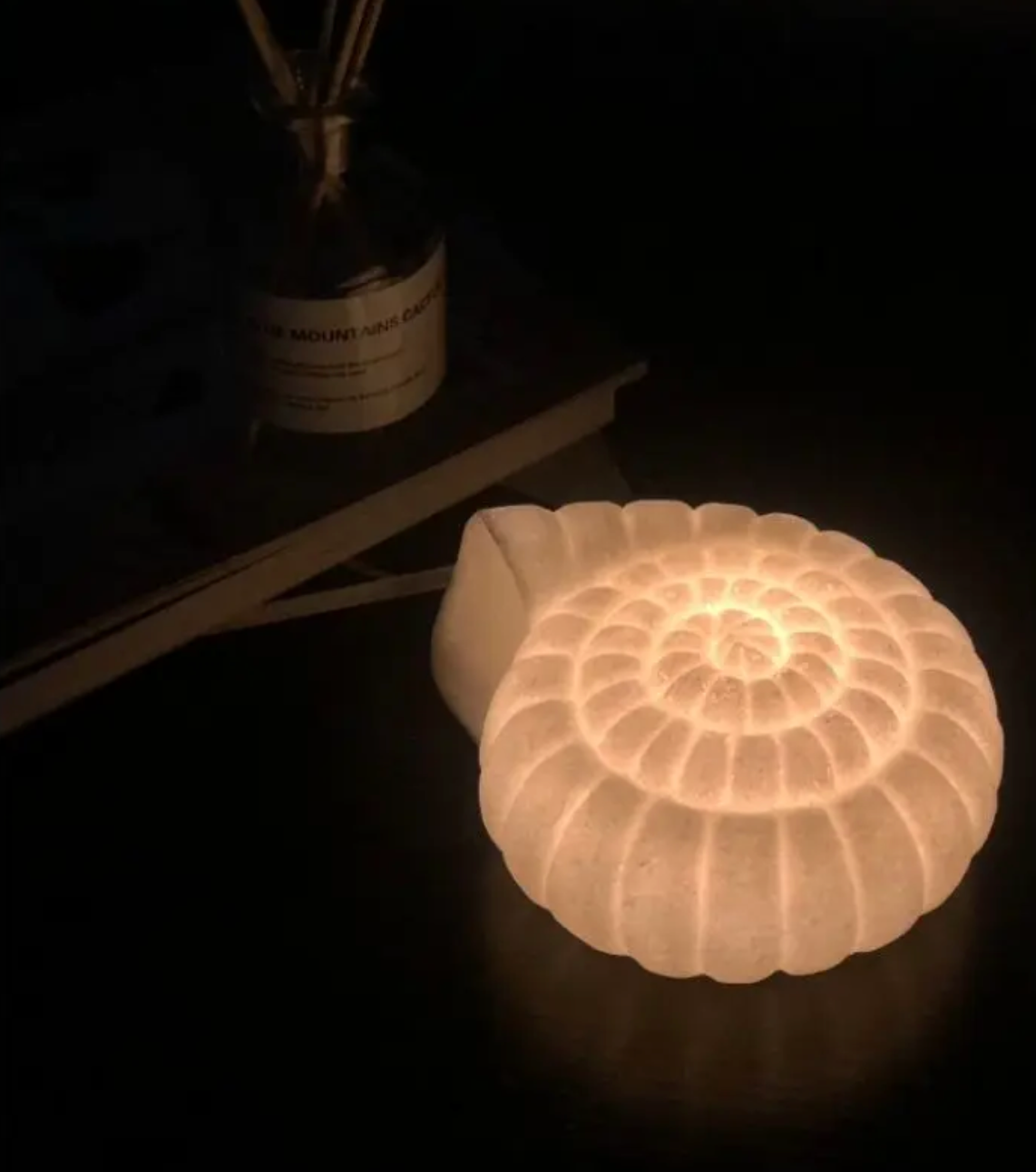 Nordic Shell Lamps