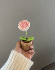 Handmade Crochet Flower Pot