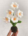 Handmade Crochet Flower Pot