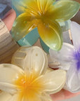 Bauhinia Flower Clip