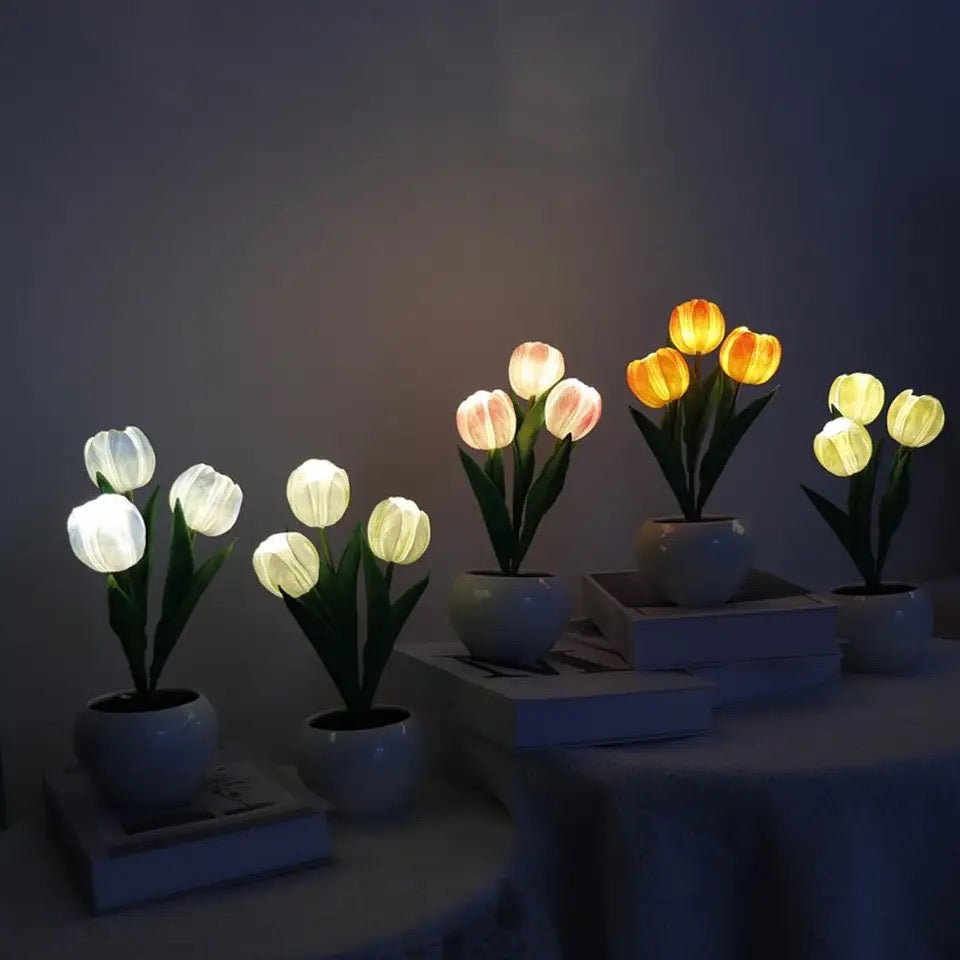 Mini Tulip Night Lamp