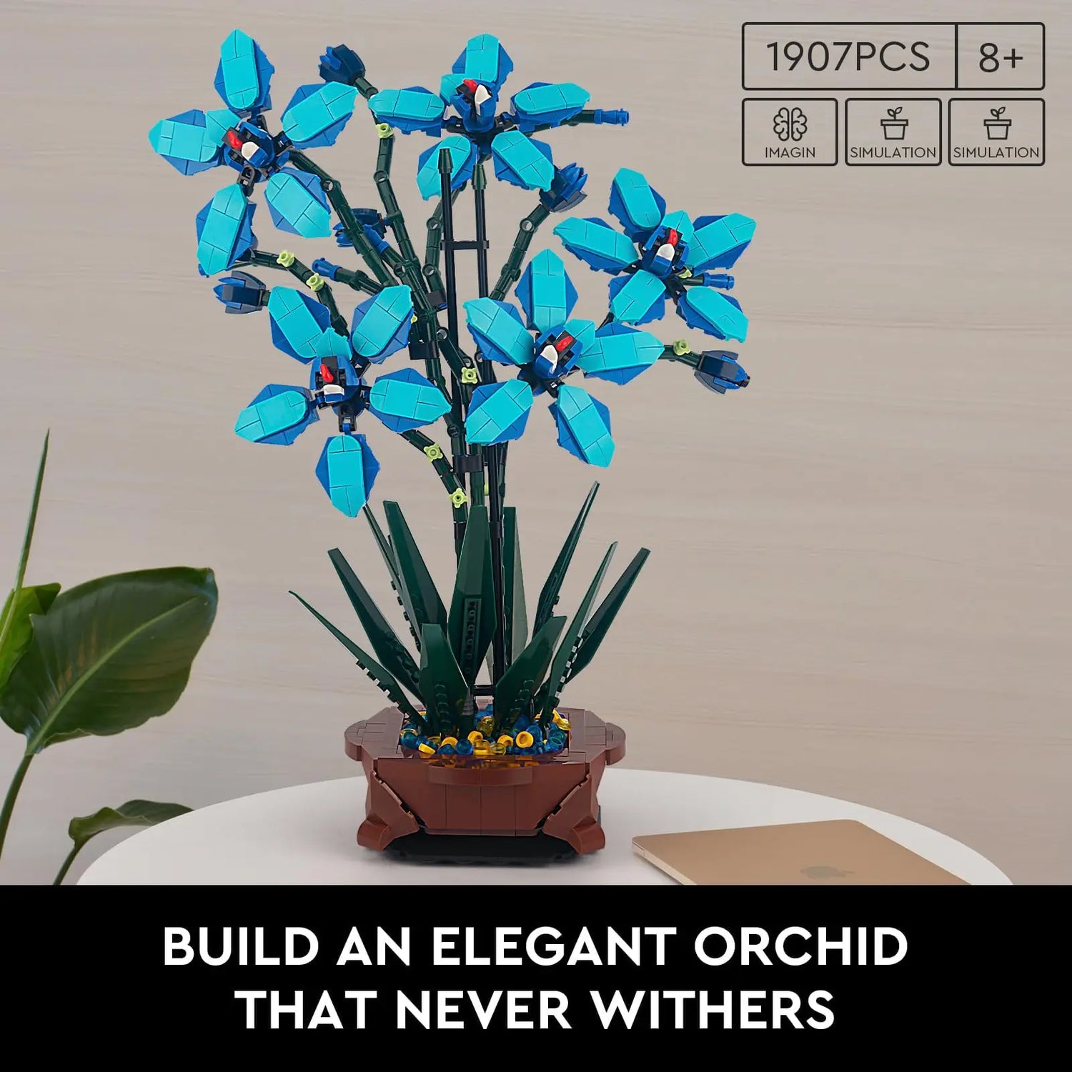 Boat Orchid Building Blocks