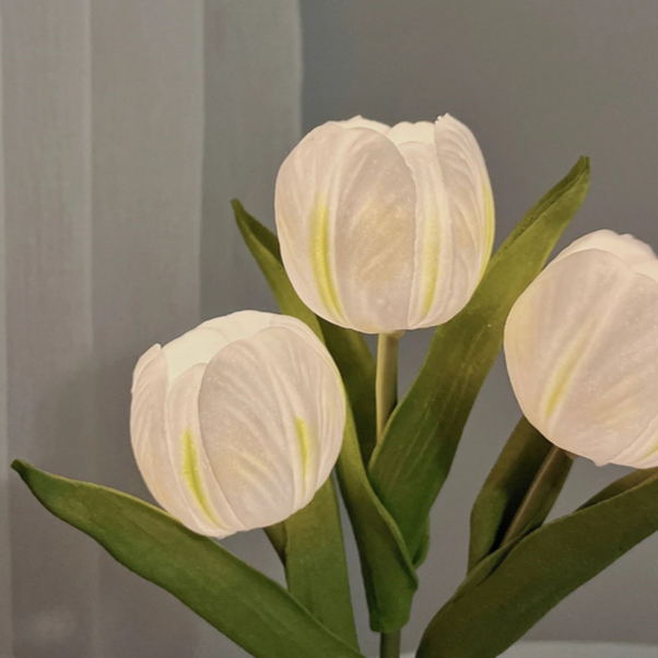 Mini Tulip Night Lamp