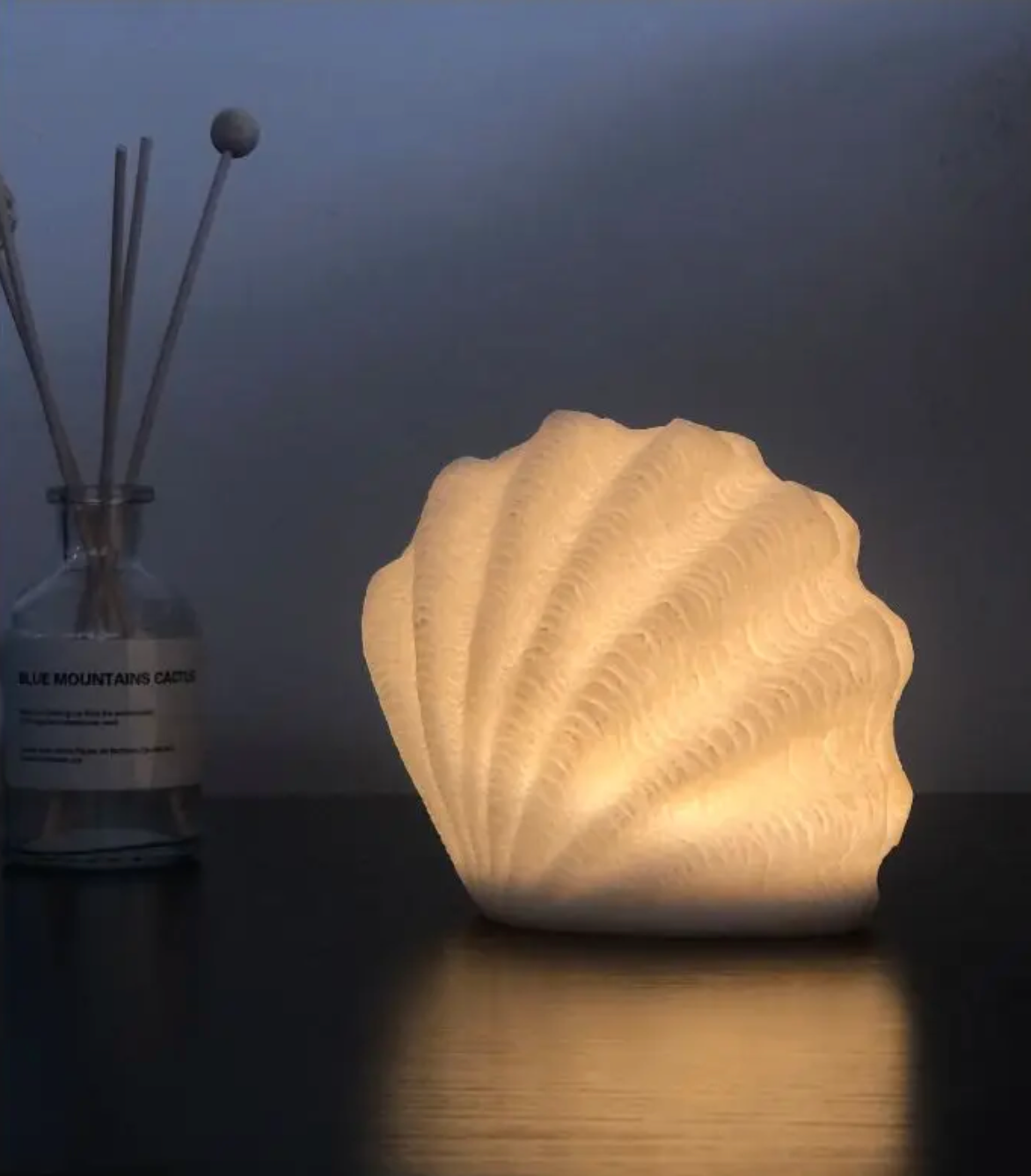 Nordic Shell Lamps
