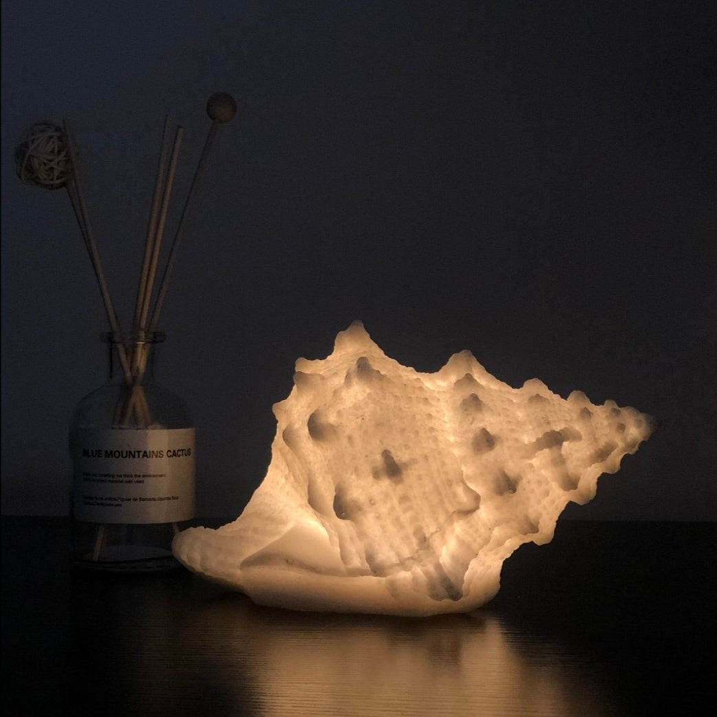 Nordic Shell Lamps