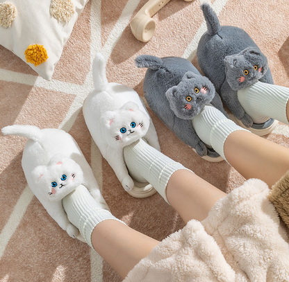 Cat Hug Slippers