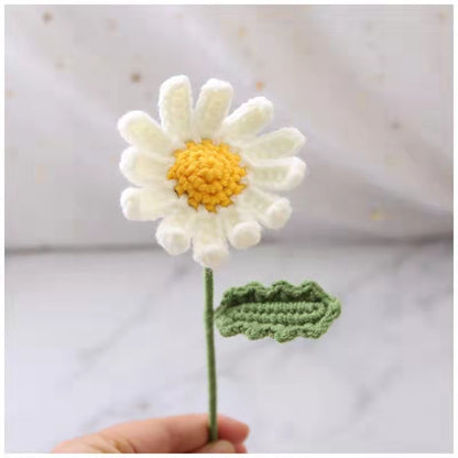 Handmade Crochet Daisies