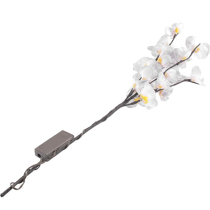 Moth Orchids Branch Lamp Light