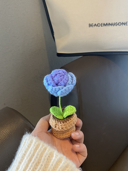 Handmade Crochet Flower Pot