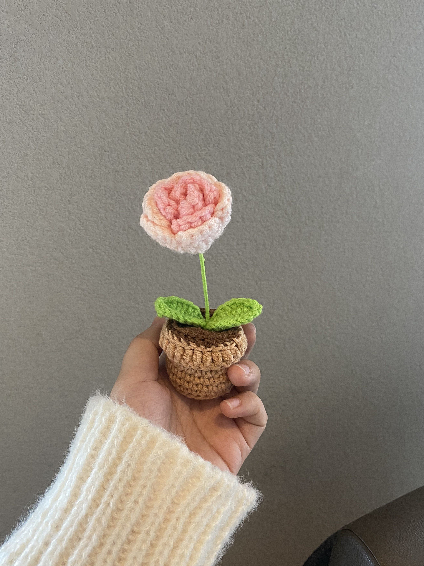 Handmade Crochet Flower Pot