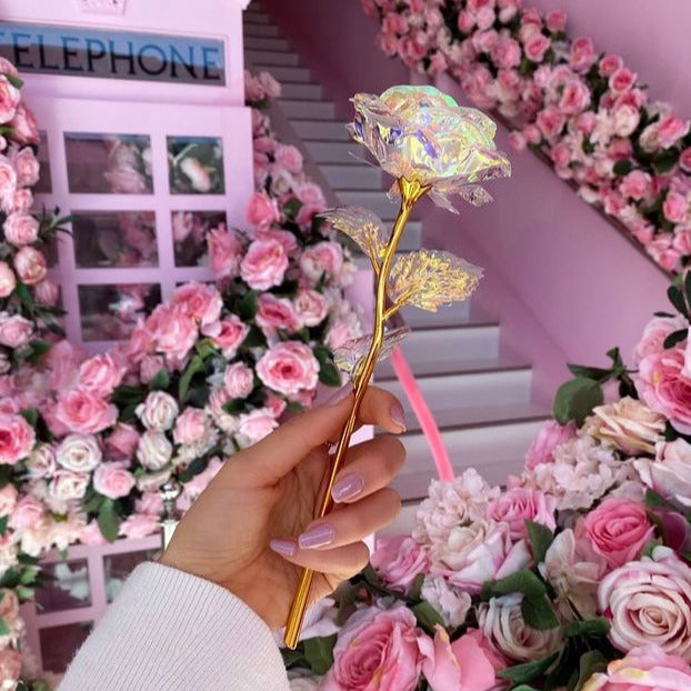 Galaxy Rose