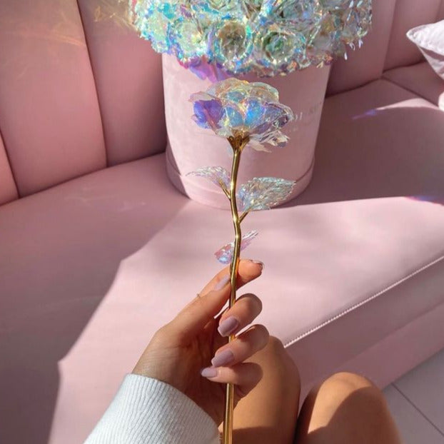 Galaxy Rose