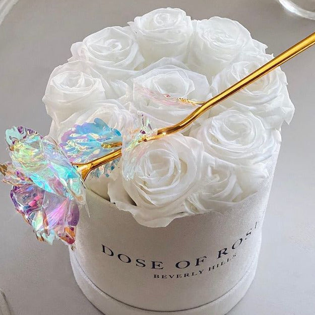 Galaxy Rose