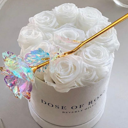 Galaxy Rose