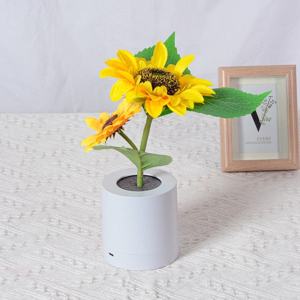 Sunflower Lamp – Creme Cloud