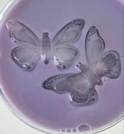 Butterfly Shaped Ice Mold