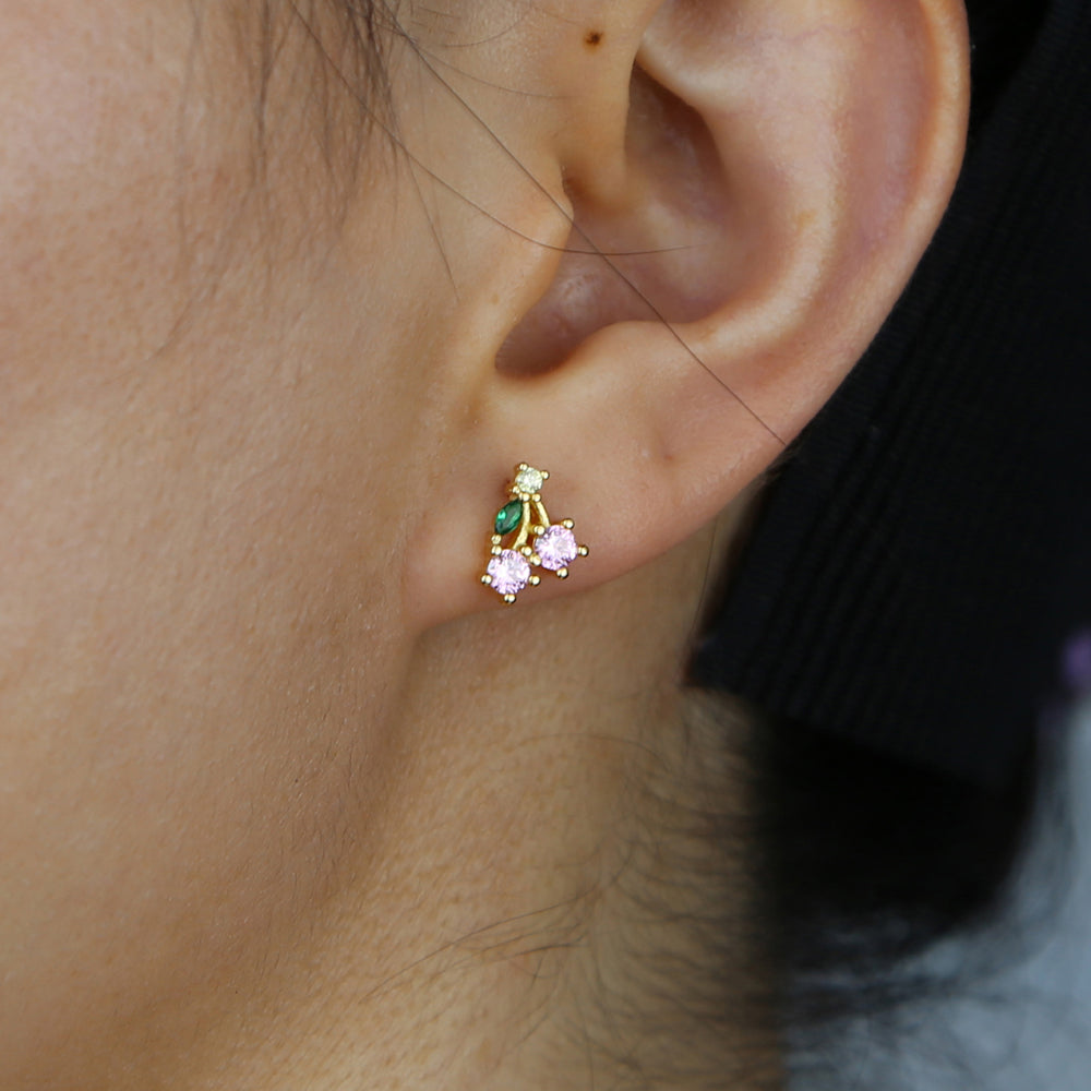 Fruit Basket Earrings