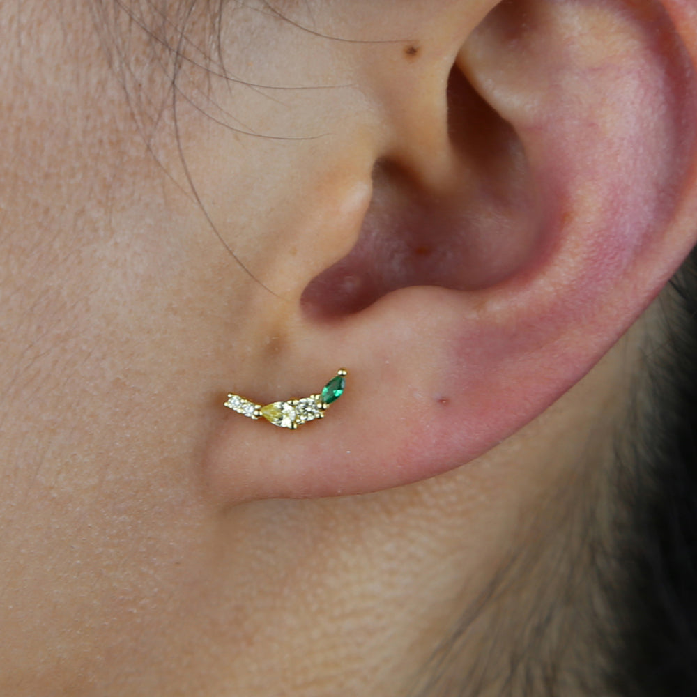 Fruit Basket Earrings