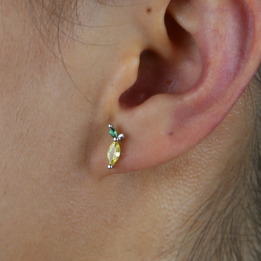 Fruit Basket Earrings