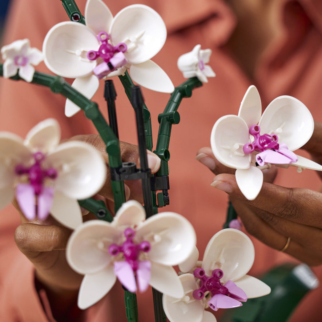 Botanical Collection