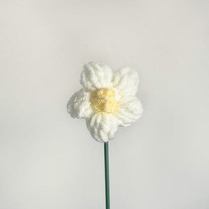 Handmade Daisy Crochet