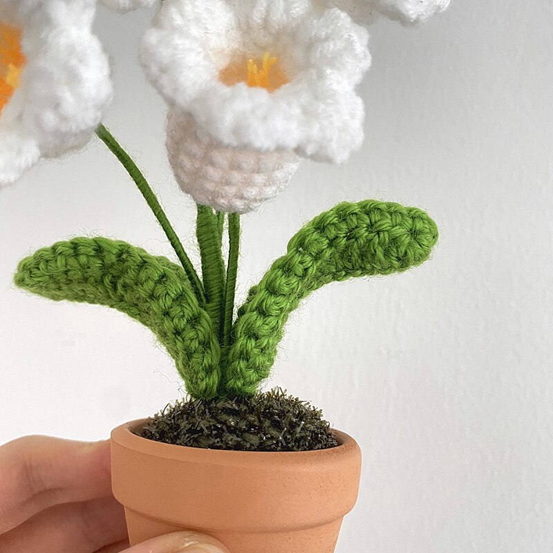 Handmade Crochet Flower Pot